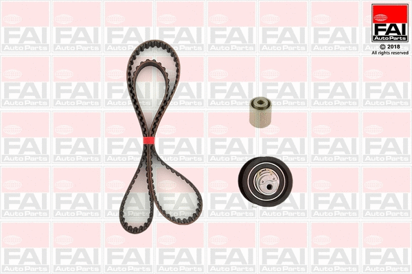Timing Belt Kit (TBK99)
