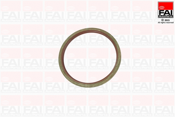 Shaft Seal, crankshaft (OS619)