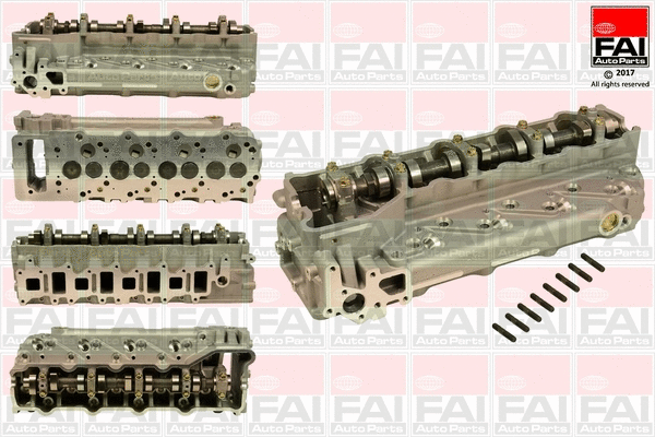 Cylinder Head (CCH004)