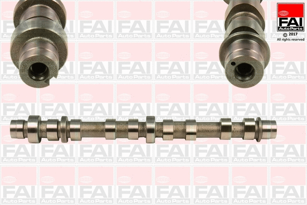 Camshaft (C359)