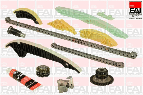 Timing Chain Kit (TCK222NG)
