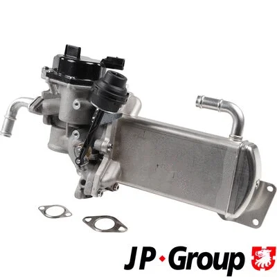 EGR Valve (1119904500)