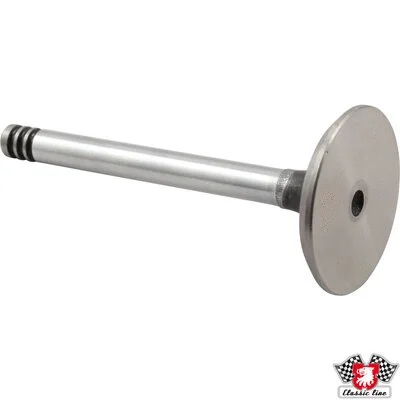 Intake Valve (1111303800)