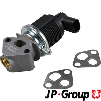 EGR Valve (1119902200)