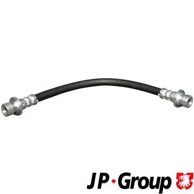 Brake Hose (3461700100)
