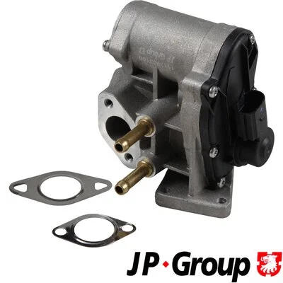 EGR Valve (1119903100)