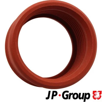 Charge Air Hose (6017700100)