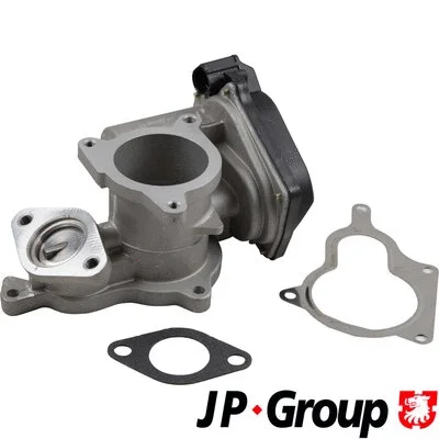 EGR Valve (1119903300)