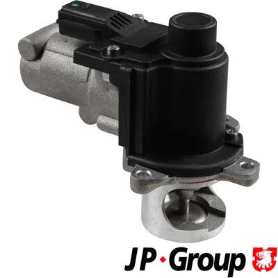 EGR Valve (1119903900)