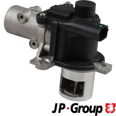EGR Valve (4319900100)