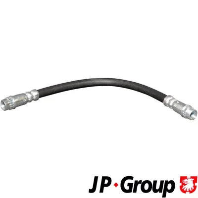 Brake Hose (4161700200)