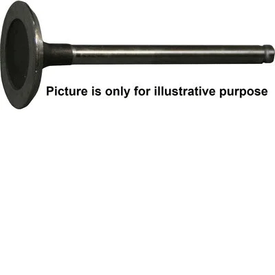 Exhaust Valve (1111305700)