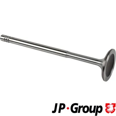 Intake Valve (1111301100)