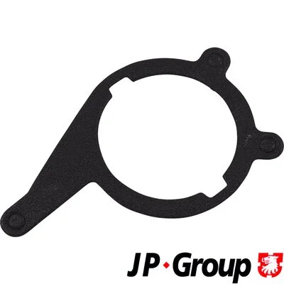 Gasket, vacuum pump (1117152800)