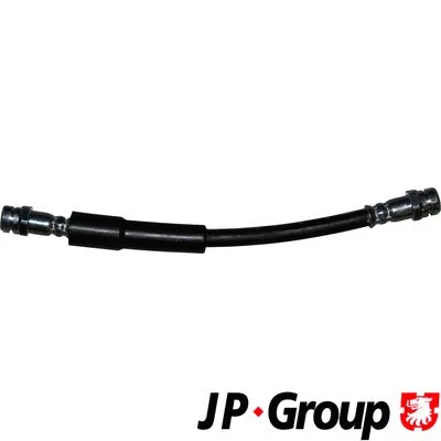 Brake Hose (1161700300)