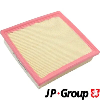 Air Filter (3918600100)