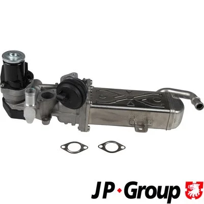 EGR Valve (1119902100)