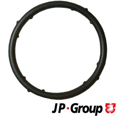 Gasket, coolant flange (1119606300)