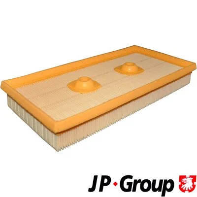 Air Filter (1118600300)