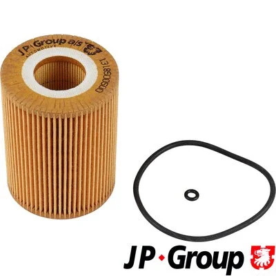 Oil Filter (1318500500)