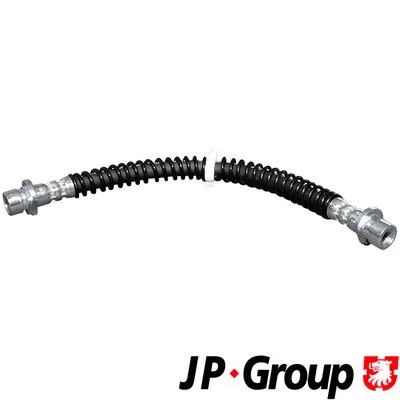 Brake Hose (3761700100)