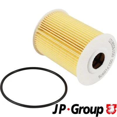 Oil Filter (1218506100)