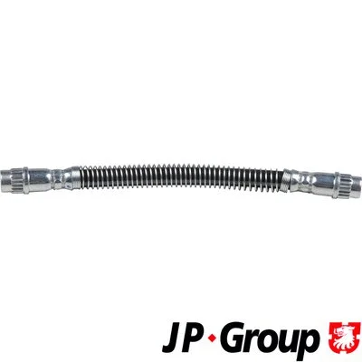 Brake Hose (4161700300)