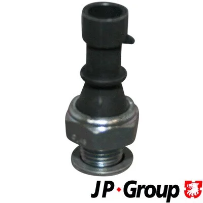 Oil Pressure Switch (1293500600)