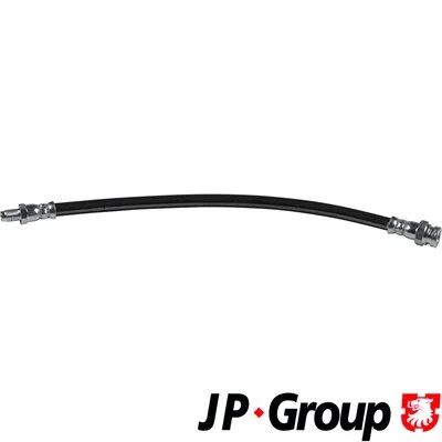 Brake Hose (4161700400)