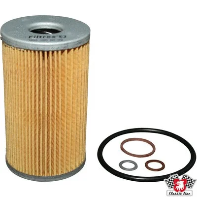 Oil Filter (1318500100)