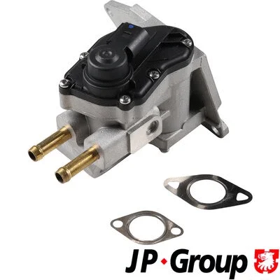 EGR Valve (1119903400)