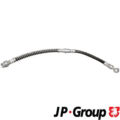 Brake Hose (3961600300)