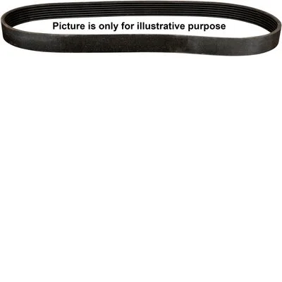 V-Ribbed Belt (4818102500)