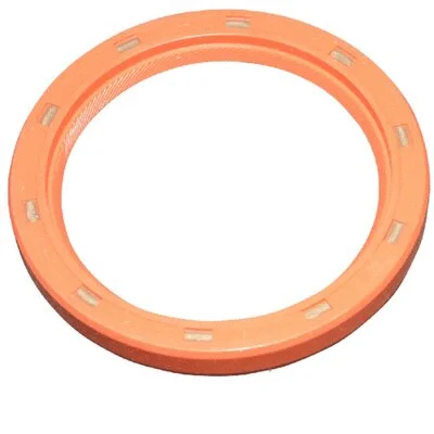 Shaft Seal, crankshaft (8119500303)