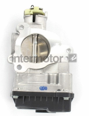 Throttle Body (68318)