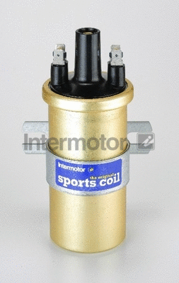 Ignition Coil (11105)