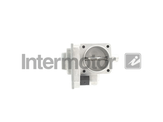 Throttle Body (68234)