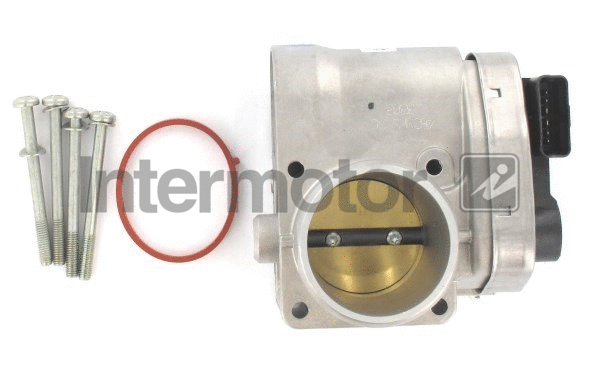 Throttle Body (68254)