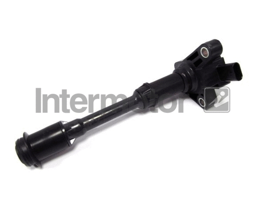 Ignition Coil (12172)