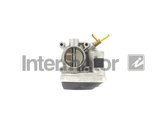 Throttle Body (68236)