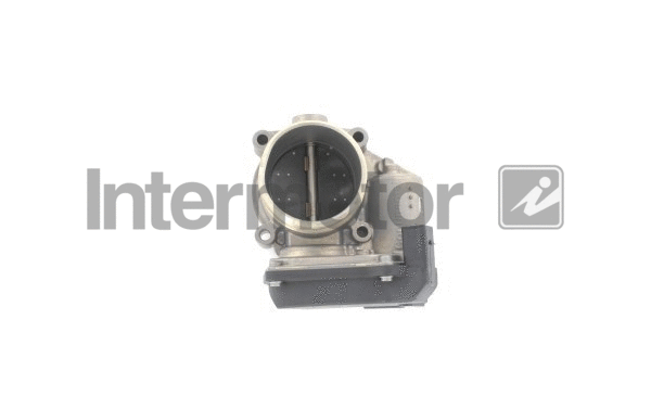 Throttle Body (68248)