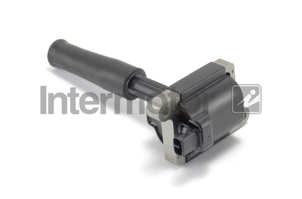 Ignition Coil (12463)