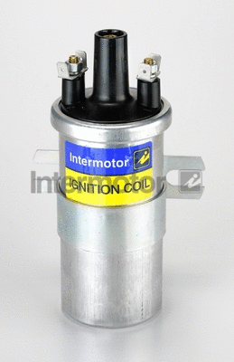 Ignition Coil (11791)