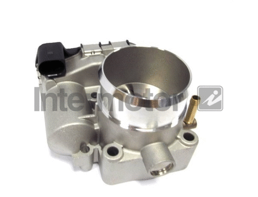 Throttle Body (68332)