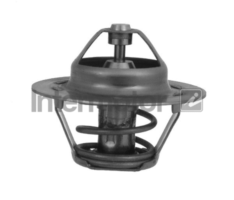 Thermostat, coolant (75213)