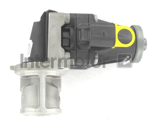 EGR Valve (14485)