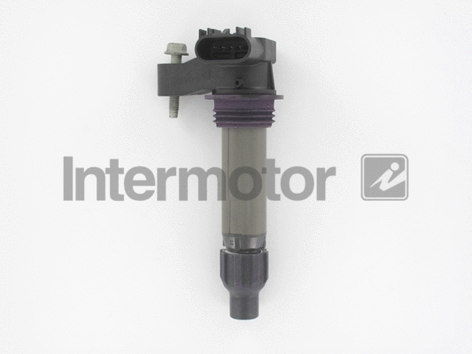 Ignition Coil (12175)