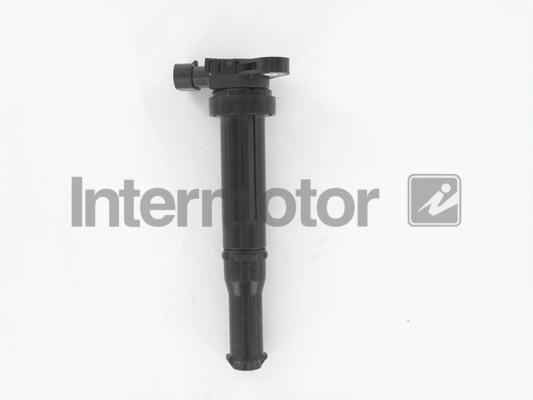 Ignition Coil (12198)