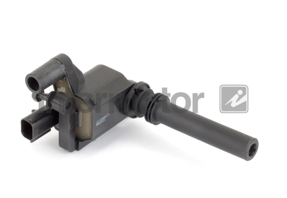Ignition Coil (12439)