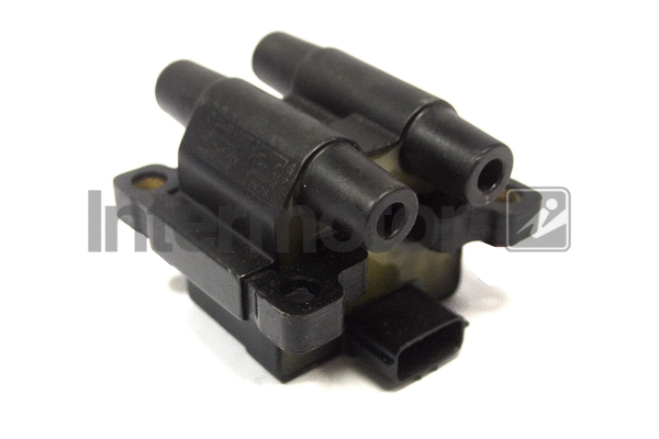 Ignition Coil (12173)